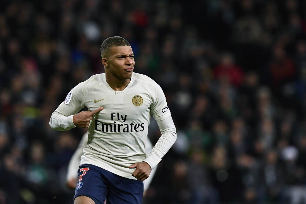   香港百岁古树“扶正”记